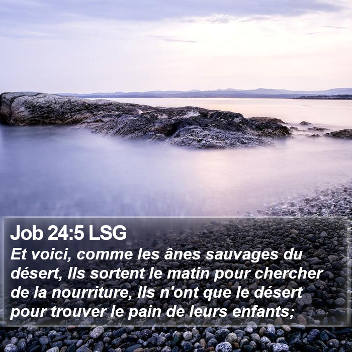 Job 24:5 LSG Bible Study