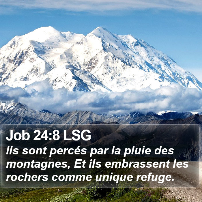 Job 24:8 LSG Bible Study