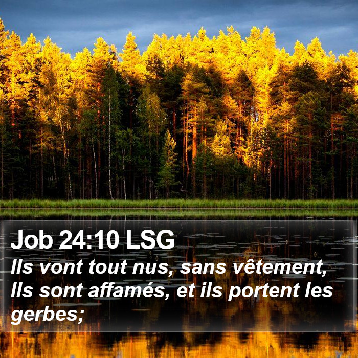 Job 24:10 LSG Bible Study