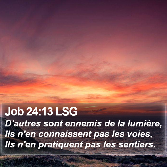 Job 24:13 LSG Bible Study