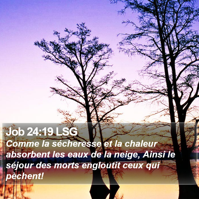 Job 24:19 LSG Bible Study