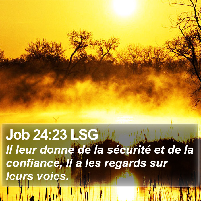 Job 24:23 LSG Bible Study