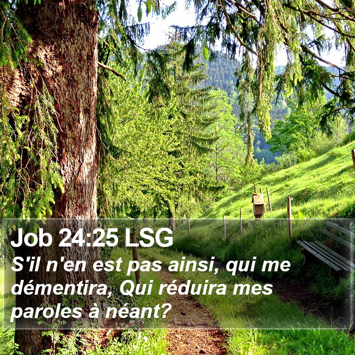 Job 24:25 LSG Bible Study