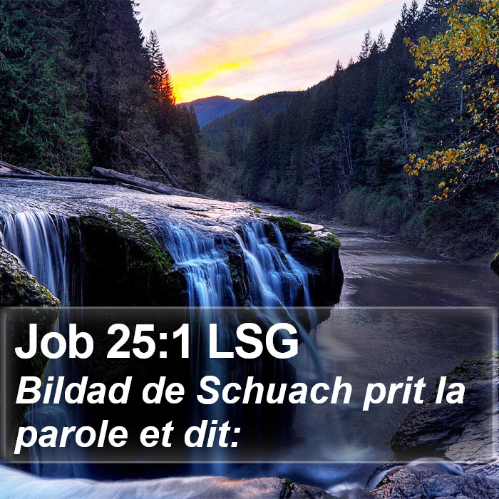 Job 25:1 LSG Bible Study