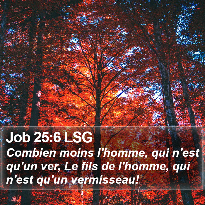 Job 25:6 LSG Bible Study