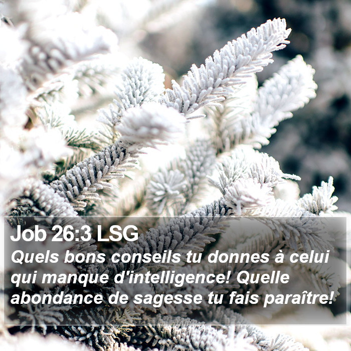 Job 26:3 LSG Bible Study