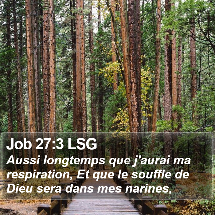 Job 27:3 LSG Bible Study