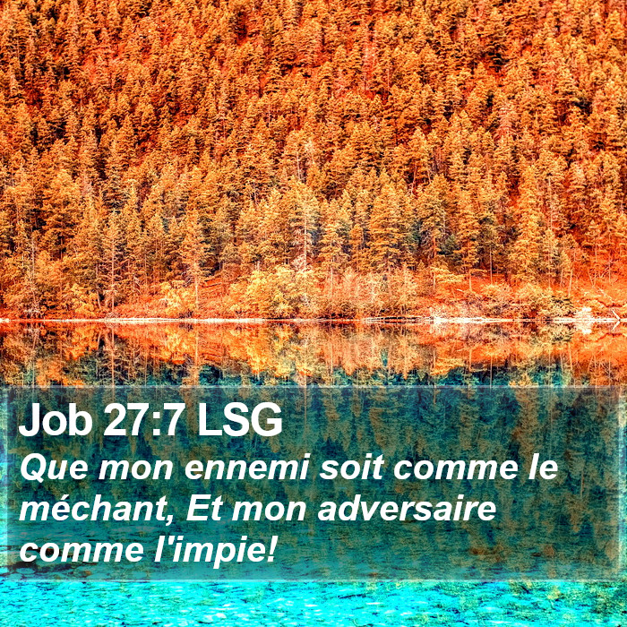 Job 27:7 LSG Bible Study