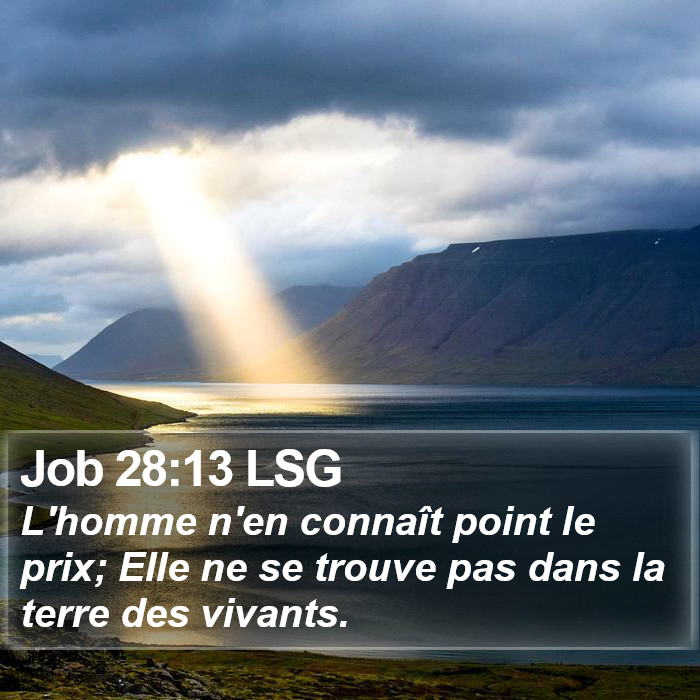 Job 28:13 LSG Bible Study