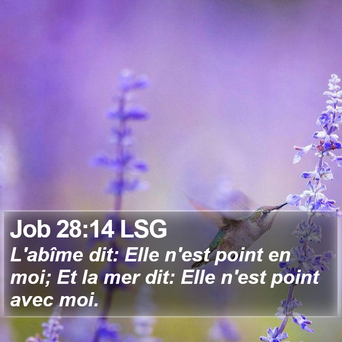 Job 28:14 LSG Bible Study