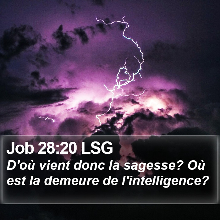 Job 28:20 LSG Bible Study