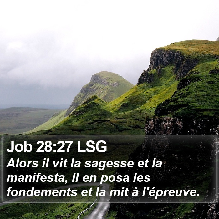 Job 28:27 LSG Bible Study