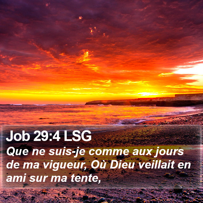 Job 29:4 LSG Bible Study