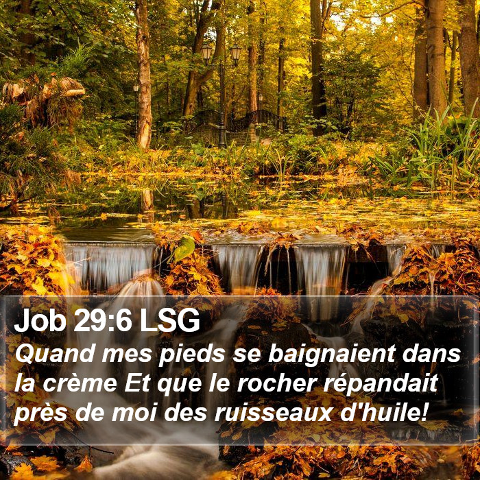 Job 29:6 LSG Bible Study