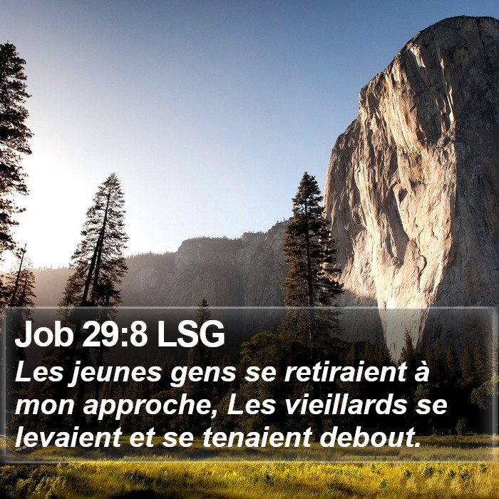 Job 29:8 LSG Bible Study