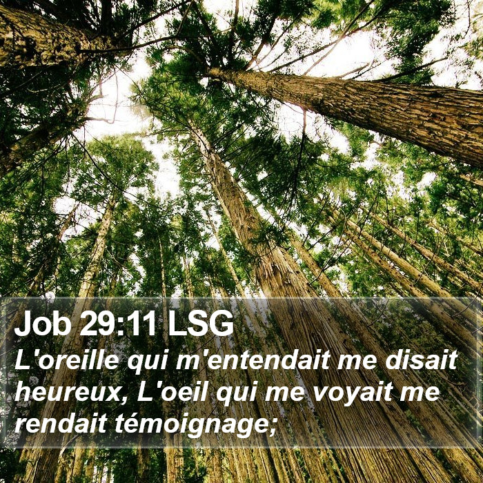 Job 29:11 LSG Bible Study