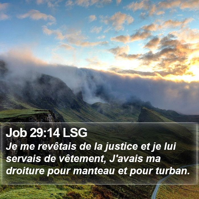 Job 29:14 LSG Bible Study