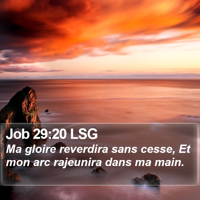 Job 29:20 LSG Bible Study