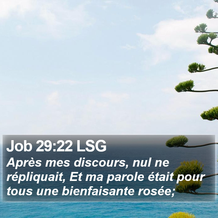 Job 29:22 LSG Bible Study