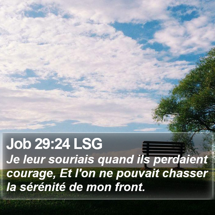 Job 29:24 LSG Bible Study