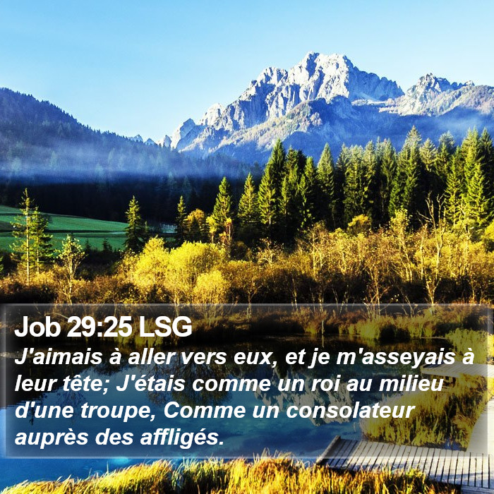 Job 29:25 LSG Bible Study