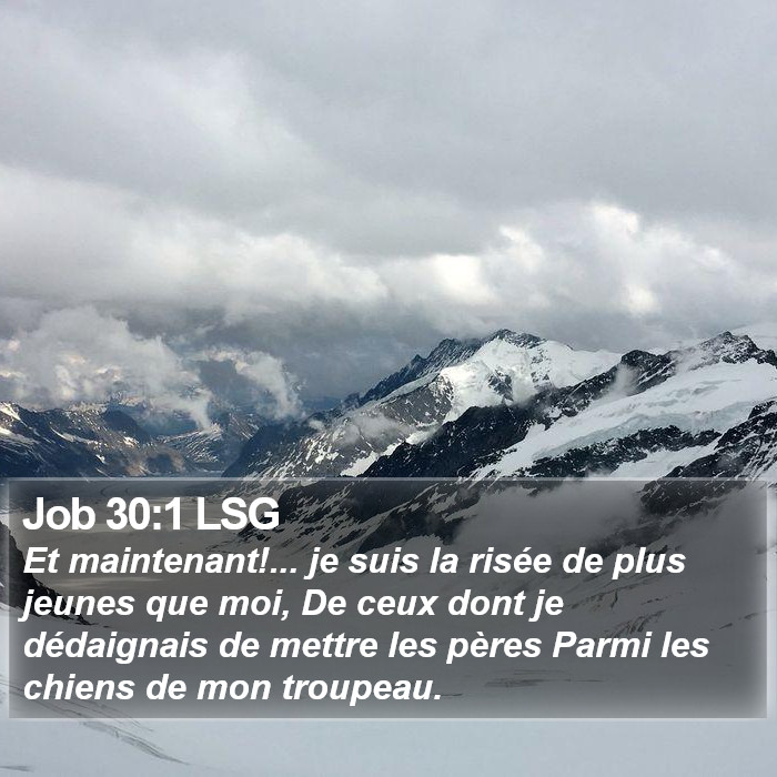 Job 30:1 LSG Bible Study