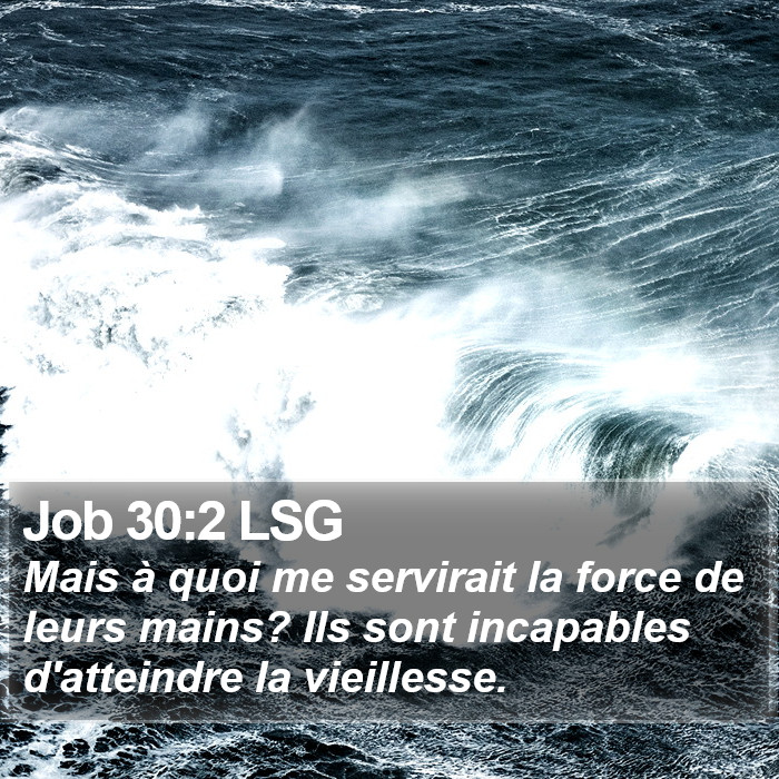 Job 30:2 LSG Bible Study