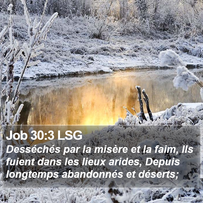 Job 30:3 LSG Bible Study