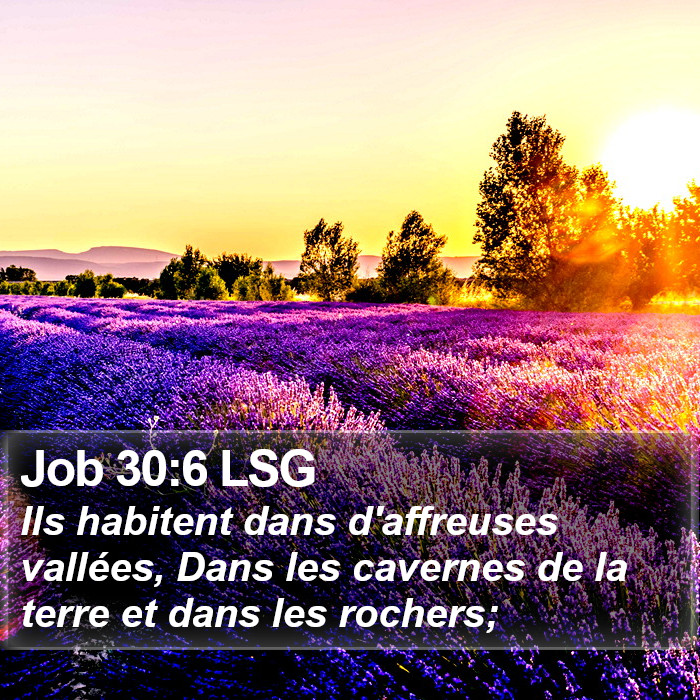 Job 30:6 LSG Bible Study