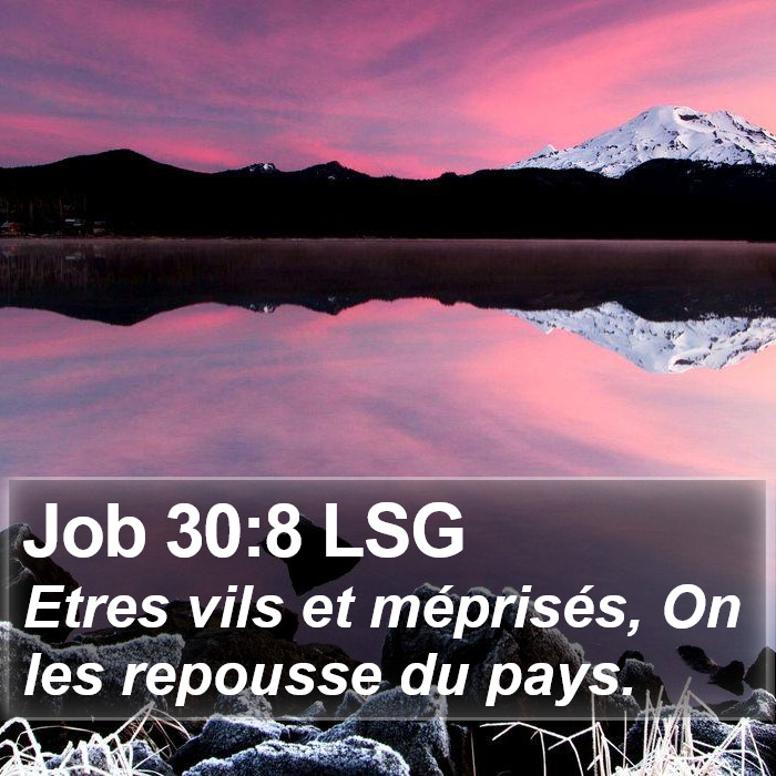 Job 30:8 LSG Bible Study