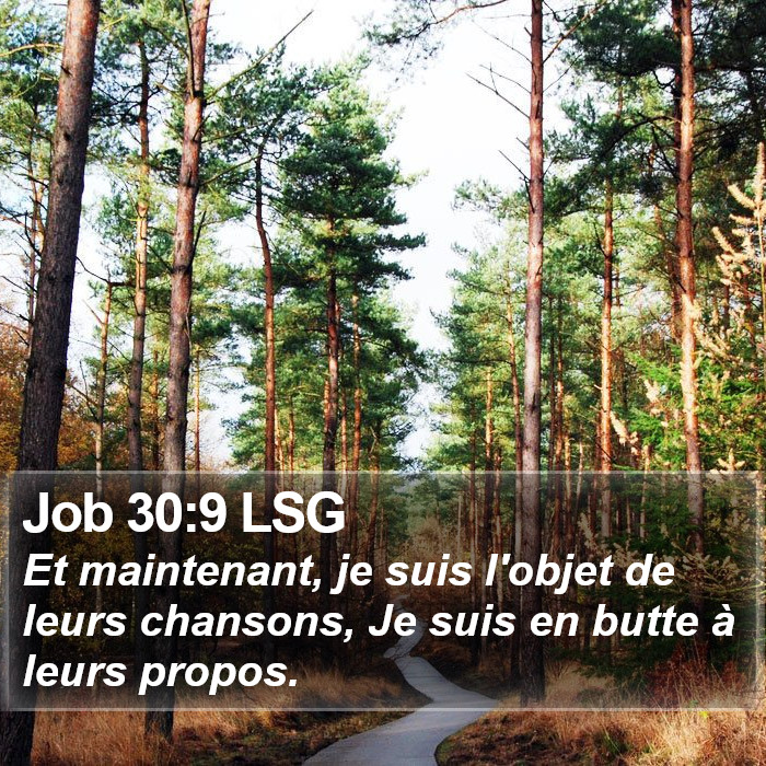 Job 30:9 LSG Bible Study