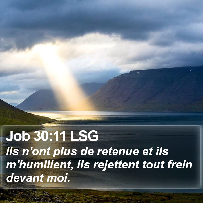 Job 30:11 LSG Bible Study