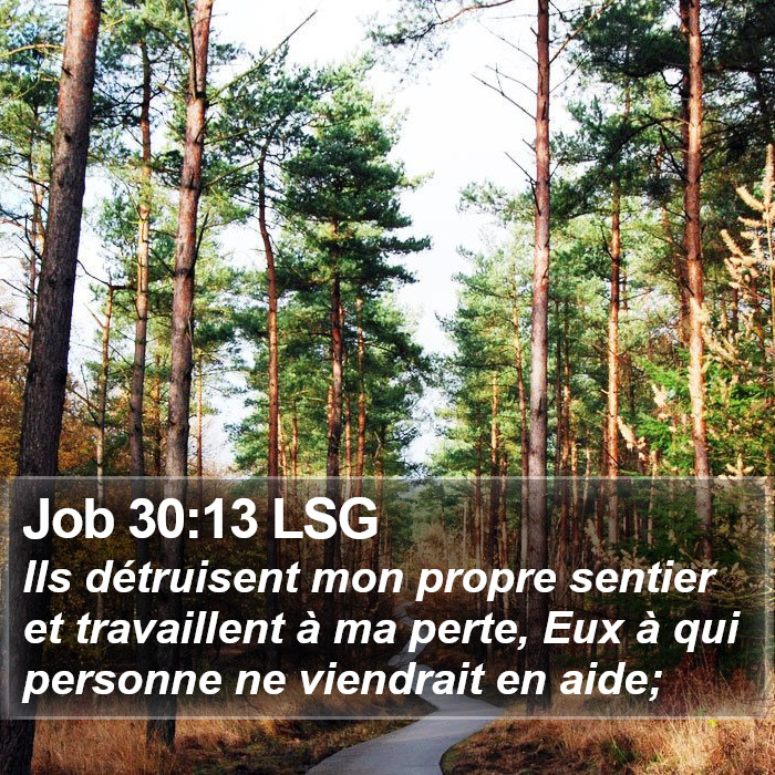 Job 30:13 LSG Bible Study