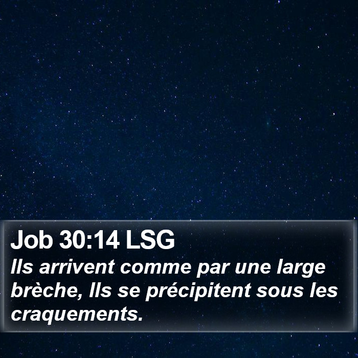 Job 30:14 LSG Bible Study