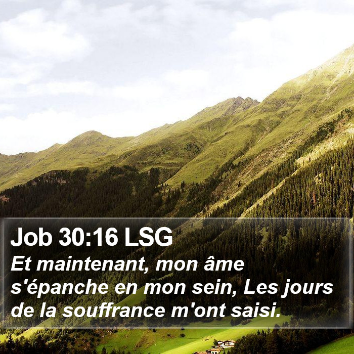 Job 30:16 LSG Bible Study