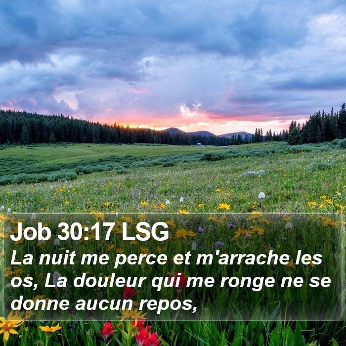 Job 30:17 LSG Bible Study