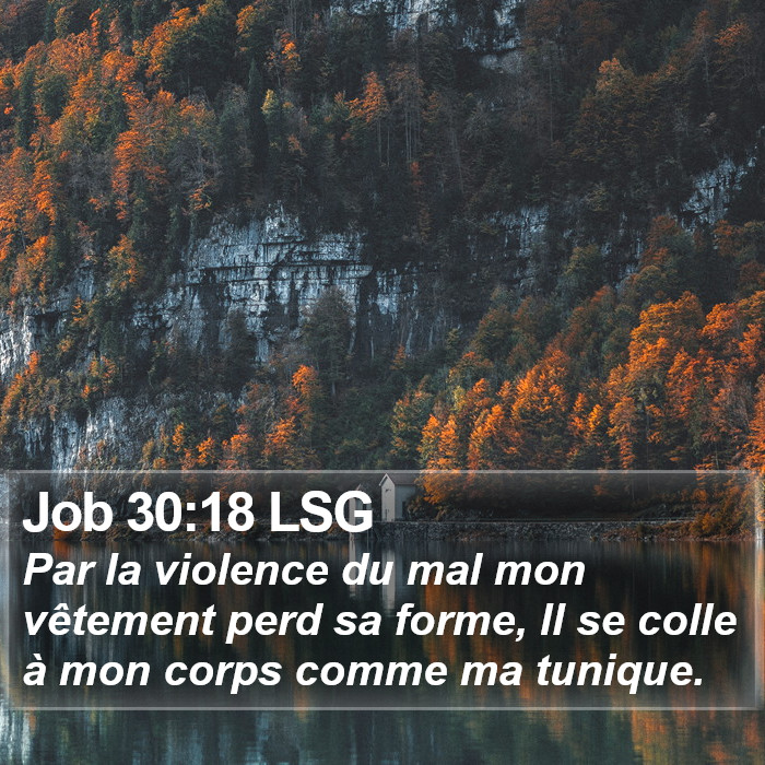 Job 30:18 LSG Bible Study