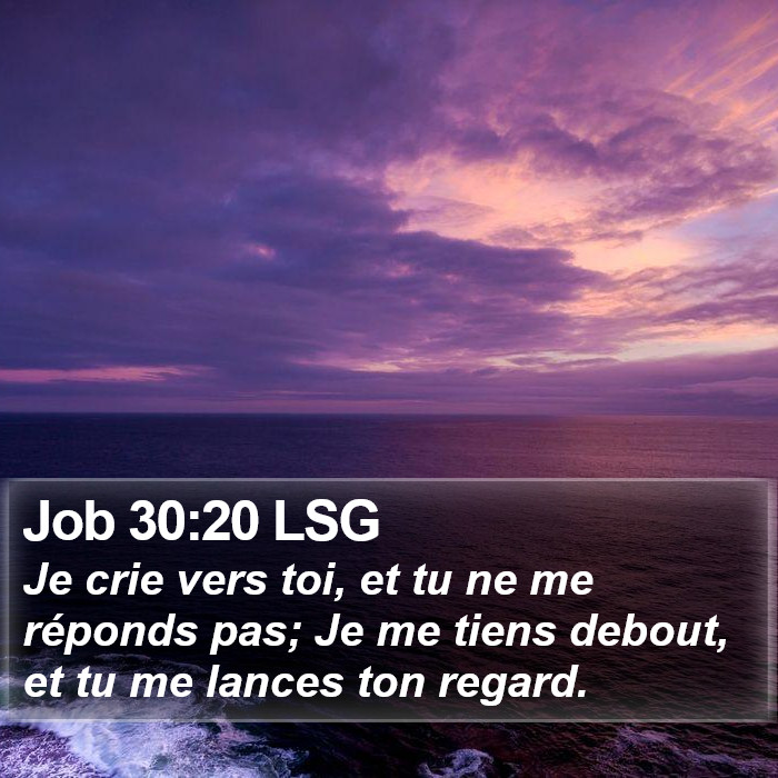 Job 30:20 LSG Bible Study