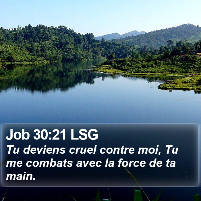 Job 30:21 LSG Bible Study