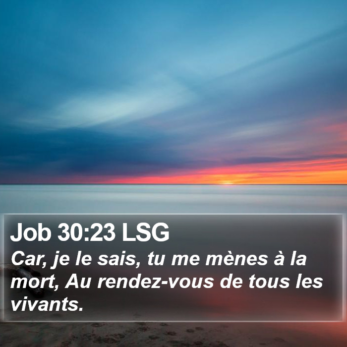 Job 30:23 LSG Bible Study