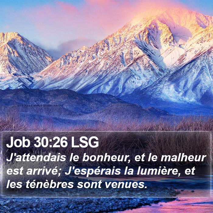 Job 30:26 LSG Bible Study