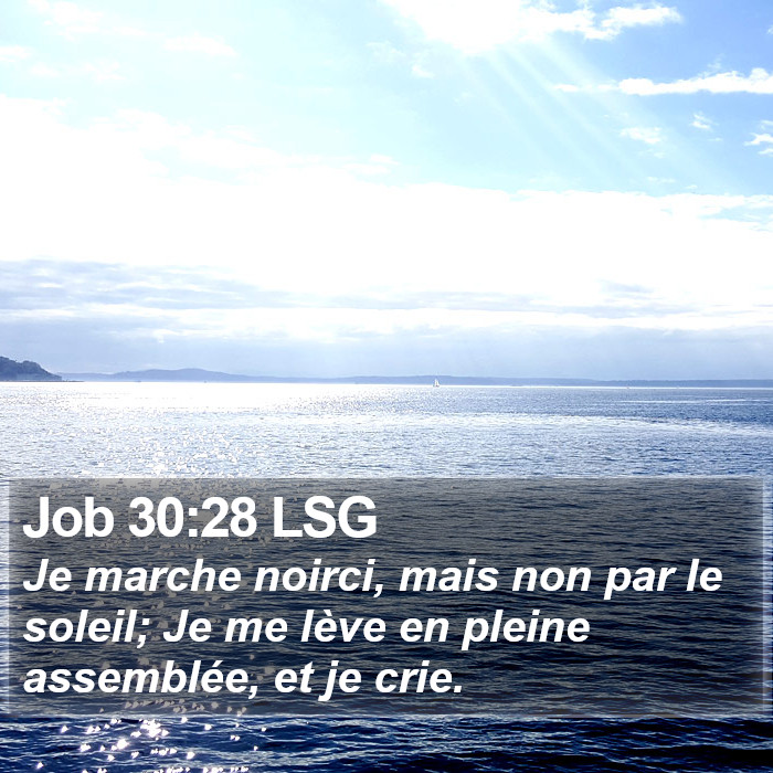 Job 30:28 LSG Bible Study