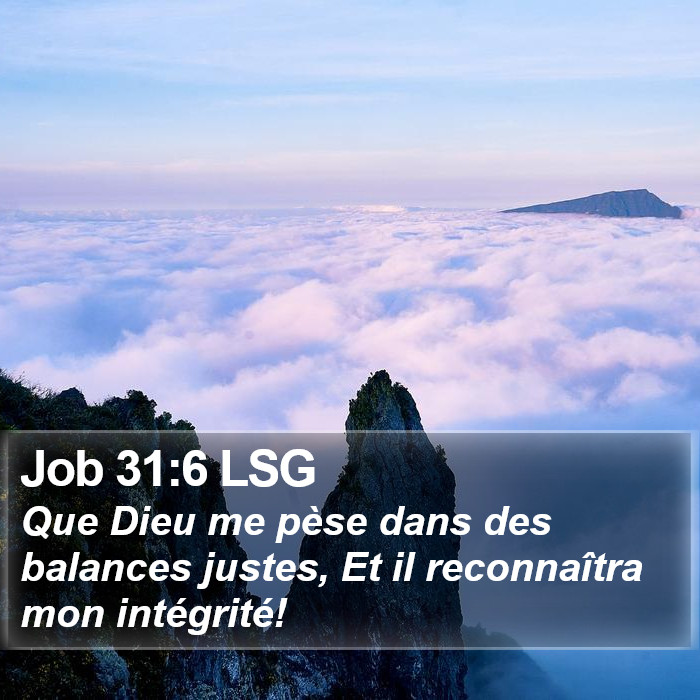 Job 31:6 LSG Bible Study