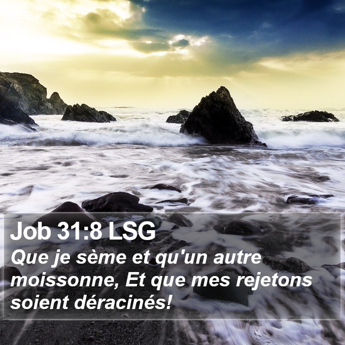 Job 31:8 LSG Bible Study