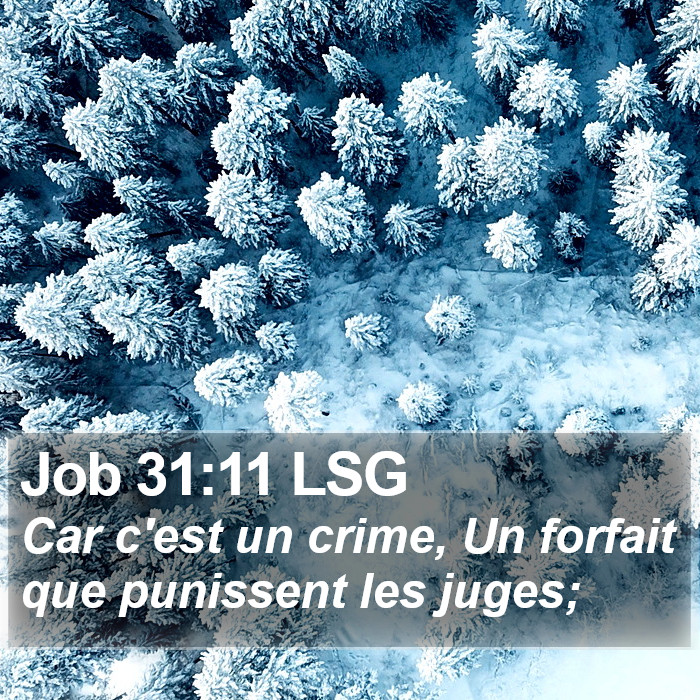 Job 31:11 LSG Bible Study