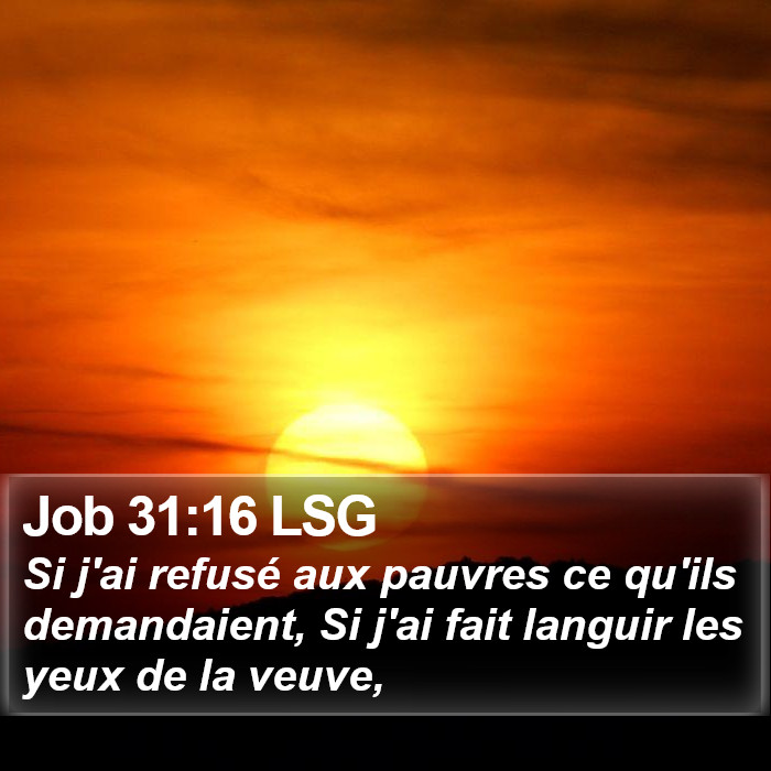 Job 31:16 LSG Bible Study