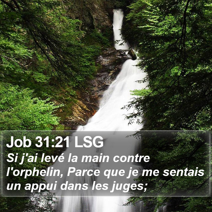 Job 31:21 LSG Bible Study