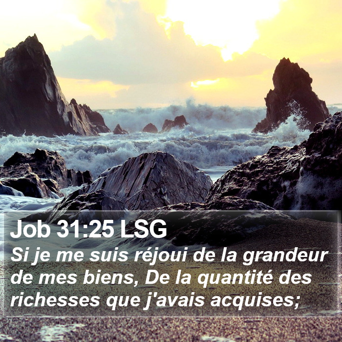 Job 31:25 LSG Bible Study