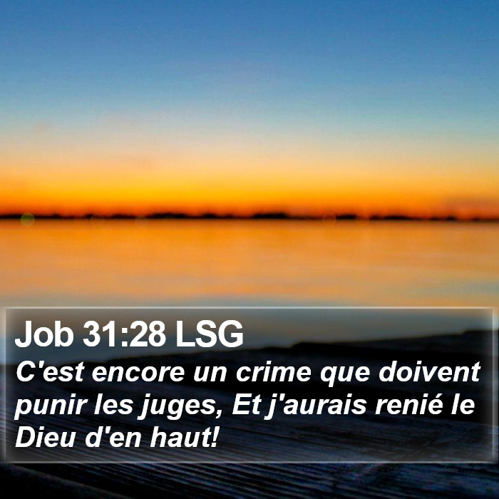 Job 31:28 LSG Bible Study