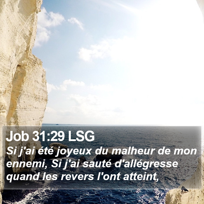 Job 31:29 LSG Bible Study